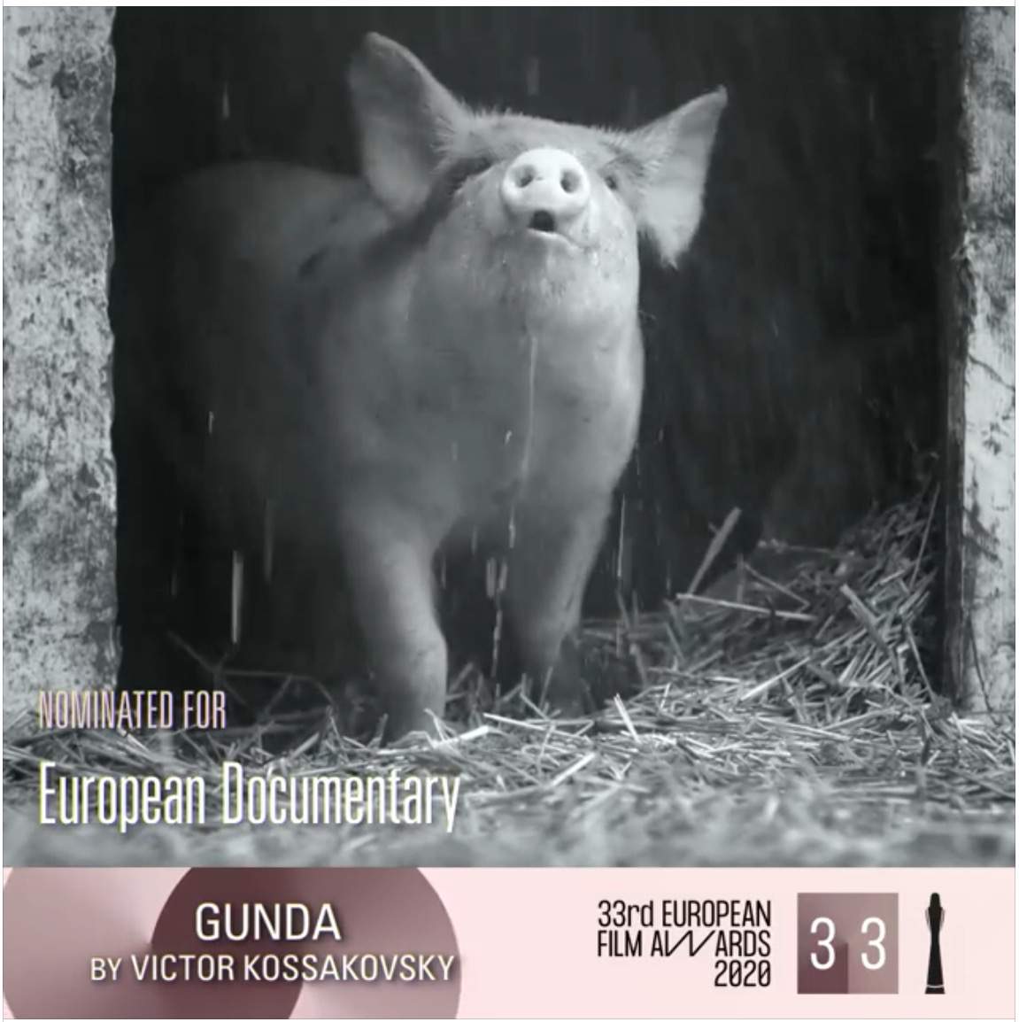 gunda