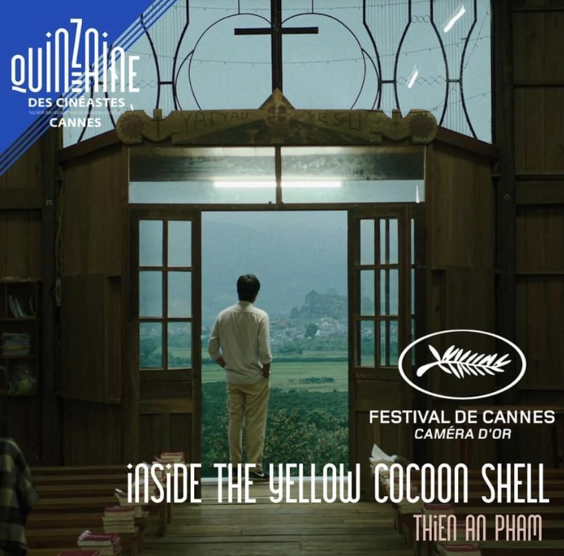 Inside The Yellow Cocoon Shell